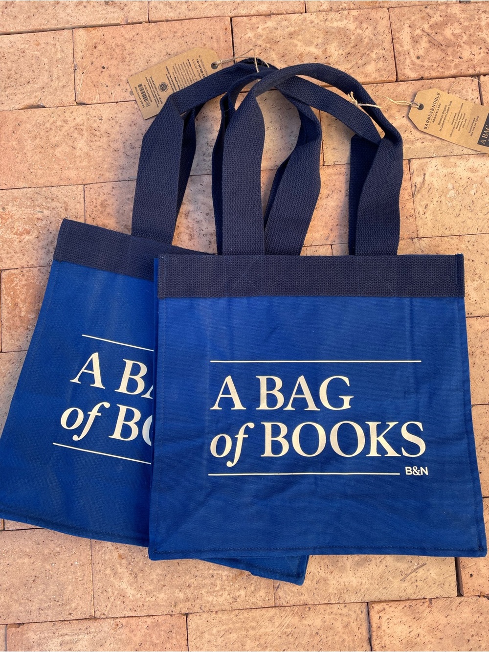 2 Barnes Noble tote bag of books canvas organic cotton blue B&N reader gift nwt